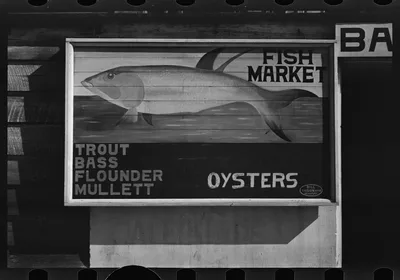 [Untitled photo, possibly related to: Fruit sign. Beaufort, South…, South Carolina, 1936