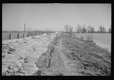 [Untitled photo, possibly related to: The Bessie Levee augmented with…, Tennessee, 1937