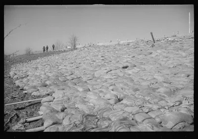 [Untitled photo, possibly related to: The Bessie Levee augmented with…, Tennessee, 1937