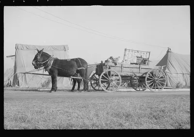 [Untitled photo, possibly related to: Refugees lined up at meal time…, Arkansas, 1937