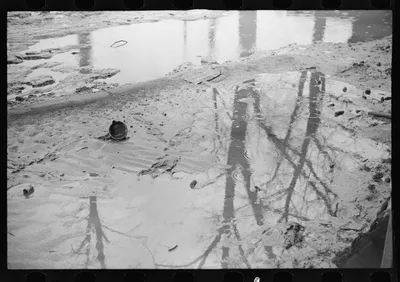 [Untitled photo, possibly related to: Farmyard covered with flood…, Tennessee, 1937