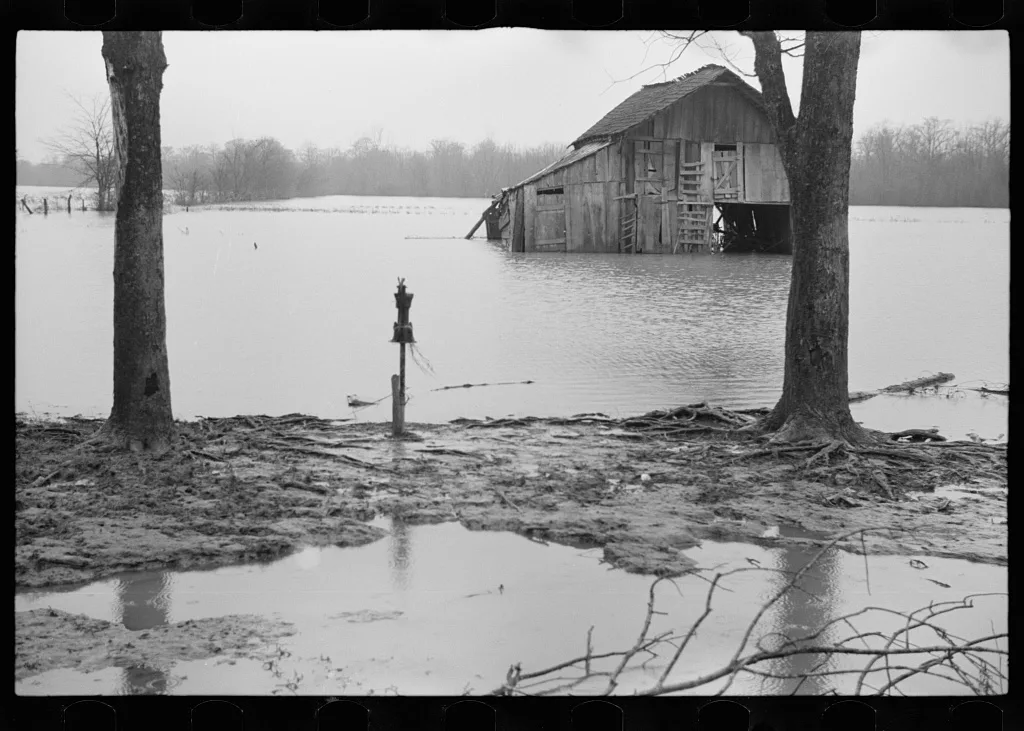 [Untitled photo, possibly related to: Farmyard covered with flood…, Tennessee, 1937