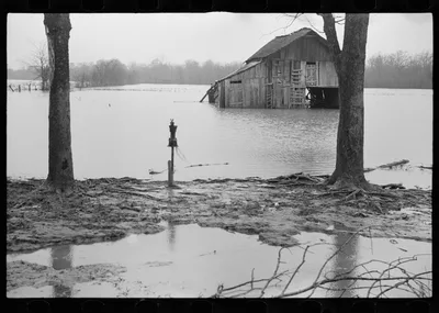 [Untitled photo, possibly related to: Farmyard covered with flood…, Tennessee, 1937