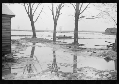 [Untitled photo, possibly related to: Farmyard covered with flood…, Tennessee, 1937