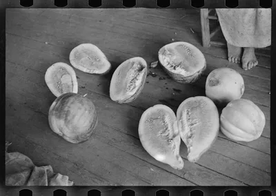 Melons on Frank Tengle's porch. Hale County, Alabama, 1936