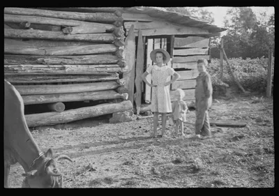 [Untitled photo, possibly related to: Burroughs children and cow near…, Alabama, 1936