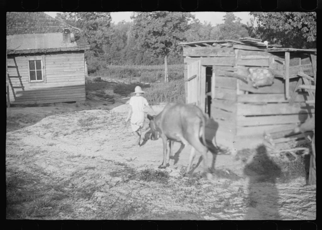 Squeakie Burroughs and friend, Hale County, Alabama, 1936