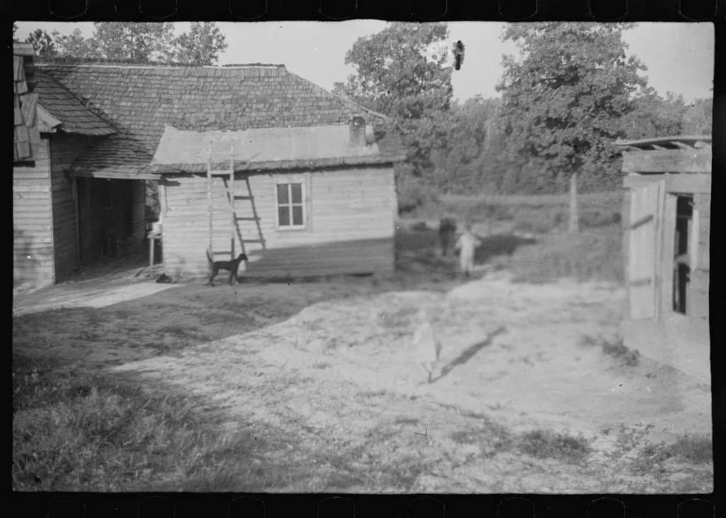Burroughs children and cow near the barn, Hale County, Alabama, 1936