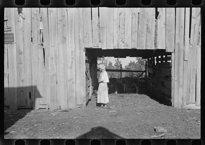[Untitled photo, possibly related to: Dora Mae Tengle, sharecropper's…, Alabama, 1936