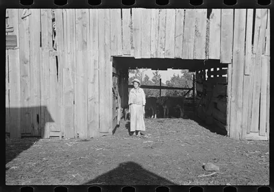 [Untitled photo, possibly related to: Dora Mae Tengle, sharecropper's…, Alabama, 1936