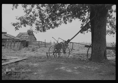 [Untitled photo, possibly related to: A sharecropper's yard, Hale…, Alabama, 1936