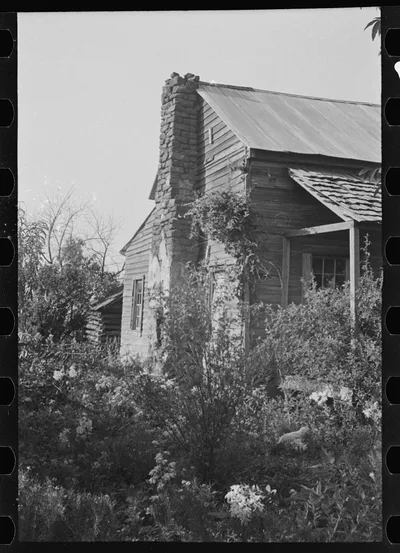 A sharecropper's field, Hale County, Alabama, 1936