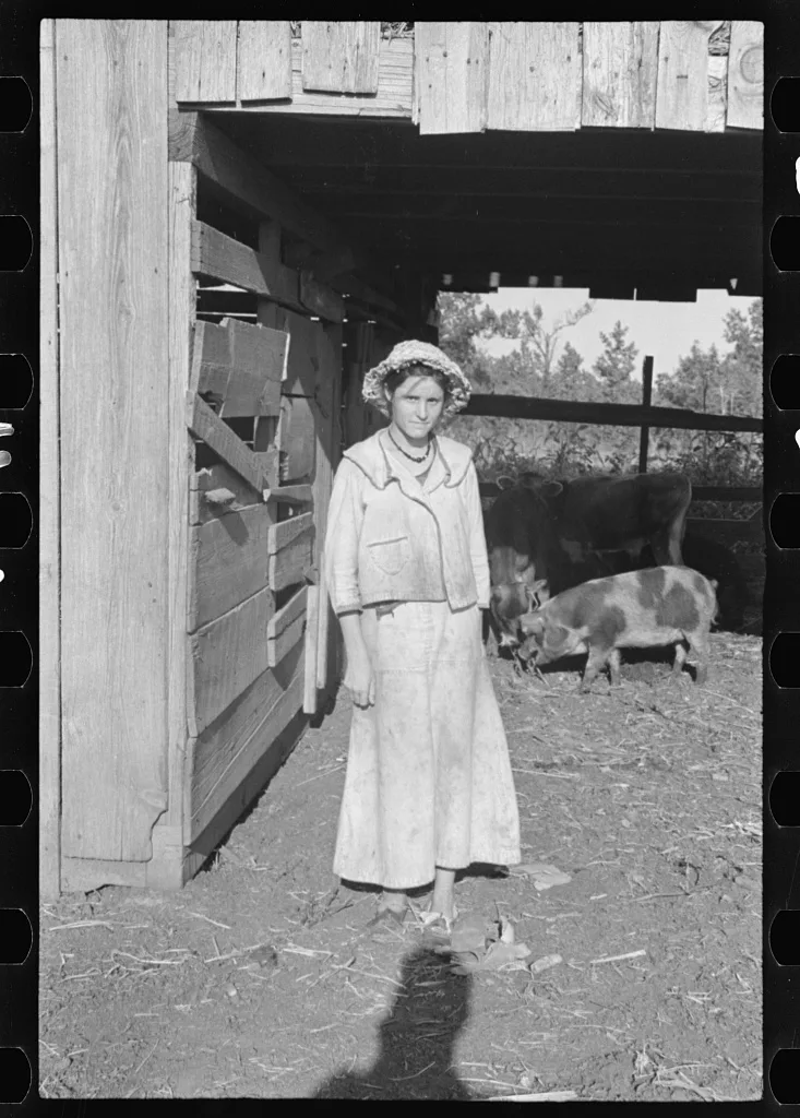 [Untitled photo, possibly related to: Dora Mae Tengle, Hale County,…, Alabama, 1936