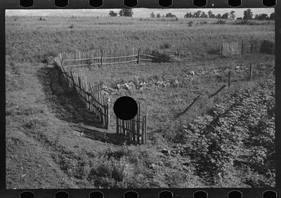 [Untitled photo, possibly related to: Bud Fields' garden, Hale…, Alabama, 1936