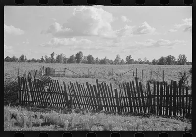 [Untitled photo, possibly related to: Bud Fields' garden, Hale…, Alabama, 1936