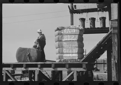 [Untitled photo, possibly related to: Cotton gin, Hale County,…, Alabama, 1936