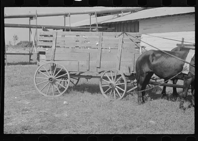 [Untitled photo, possibly related to: At the cotton gin. Cotton gin…, Alabama, 1936