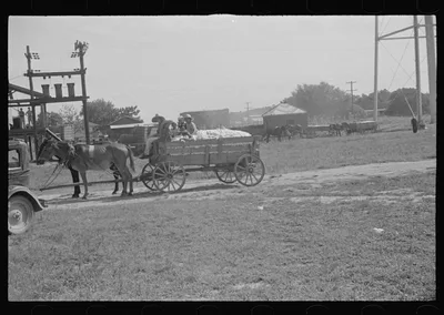 [Untitled photo, possibly related to: Cotton gin, Hale County,…, Alabama, 1936