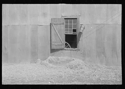Tin wall of the cotton gin building. Vicinity of Moundville, Alabama, 1936