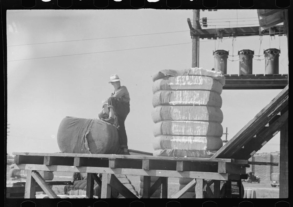 [Untitled photo, possibly related to: Cotton gin, Hale County,…, Alabama, 1936