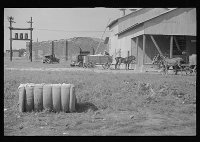 [Untitled photo, possibly related to: At the cotton gin. Cotton gin…, Alabama, 1936