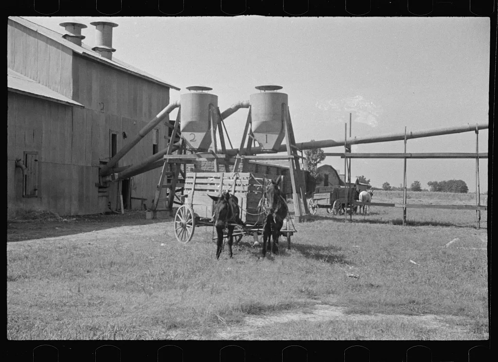Cotton gin and wagons. Vicinity of Moundville, Alabama, 1936