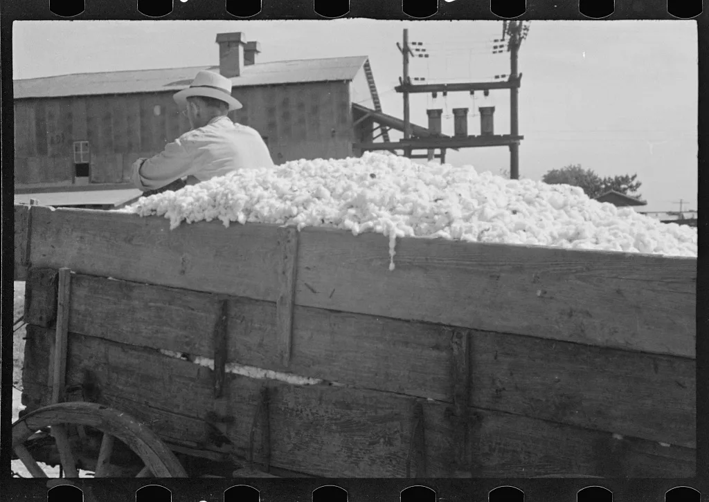 [Untitled photo, possibly related to: At the cotton gin. Cotton gin…, Alabama, 1936