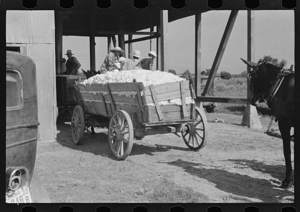 At the cotton gin. Cotton gin and wagons. Hale County, Alabama, 1936