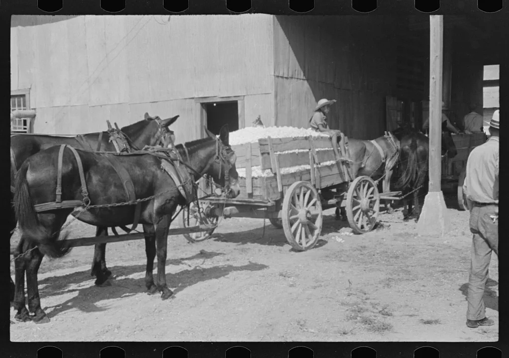 At the cotton gin. Cotton gin and wagons. Hale County, Alabama, 1936