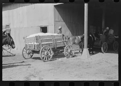 [Untitled photo, possibly related to: At the cotton gin. Cotton gin…, Alabama, 1936