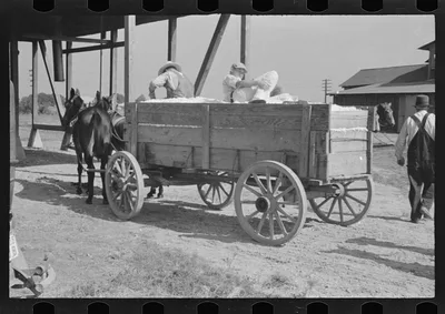 [Untitled photo, possibly related to: At the cotton gin. Cotton gin…, Alabama, 1936