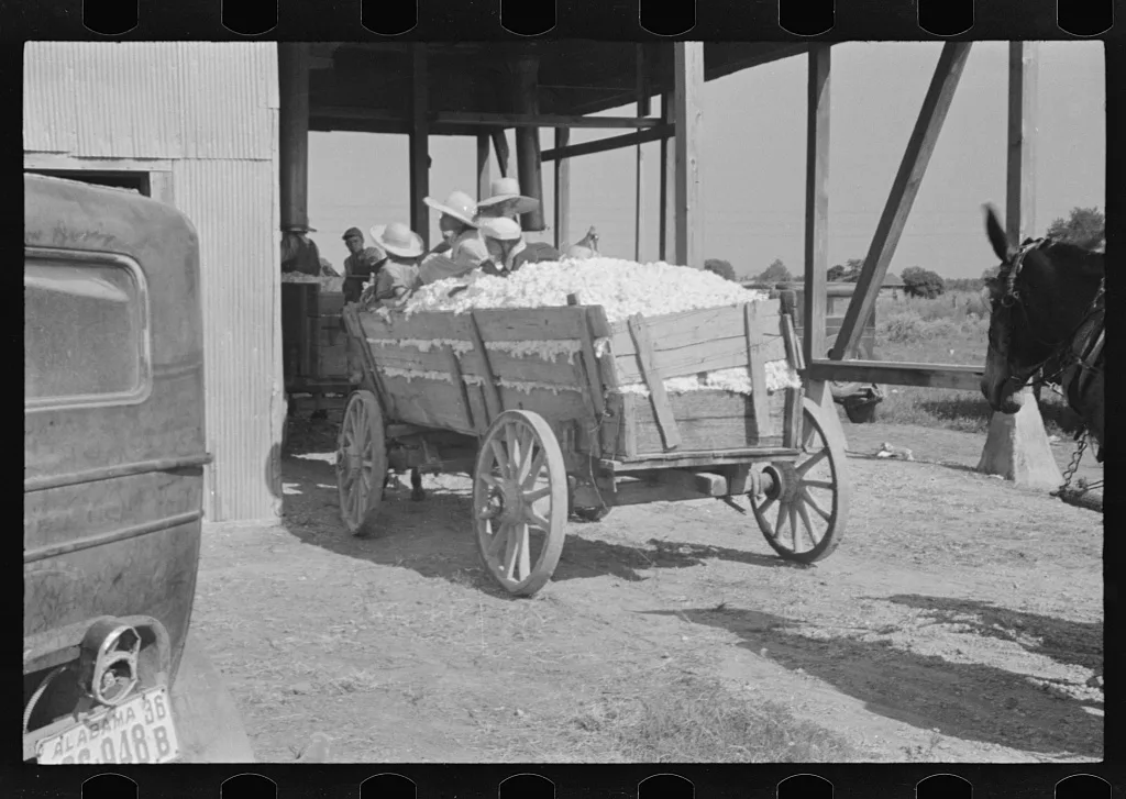 [Untitled photo, possibly related to: At the cotton gin. Cotton gin…, Alabama, 1936