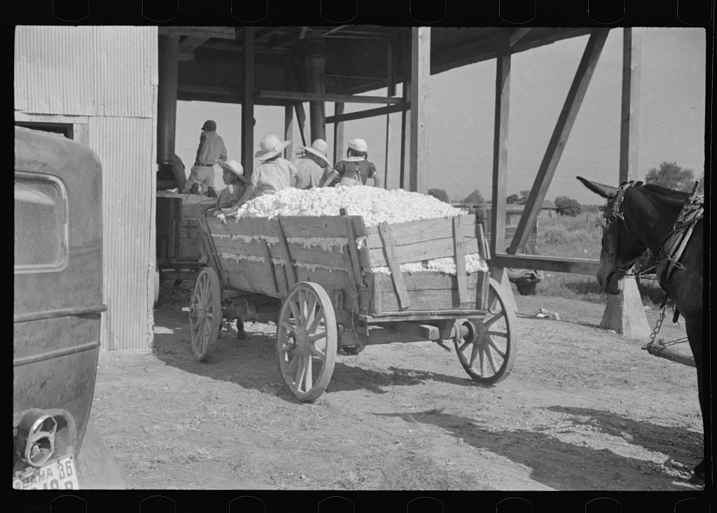 [Untitled photo, possibly related to: At the cotton gin. Cotton gin…, Alabama, 1936
