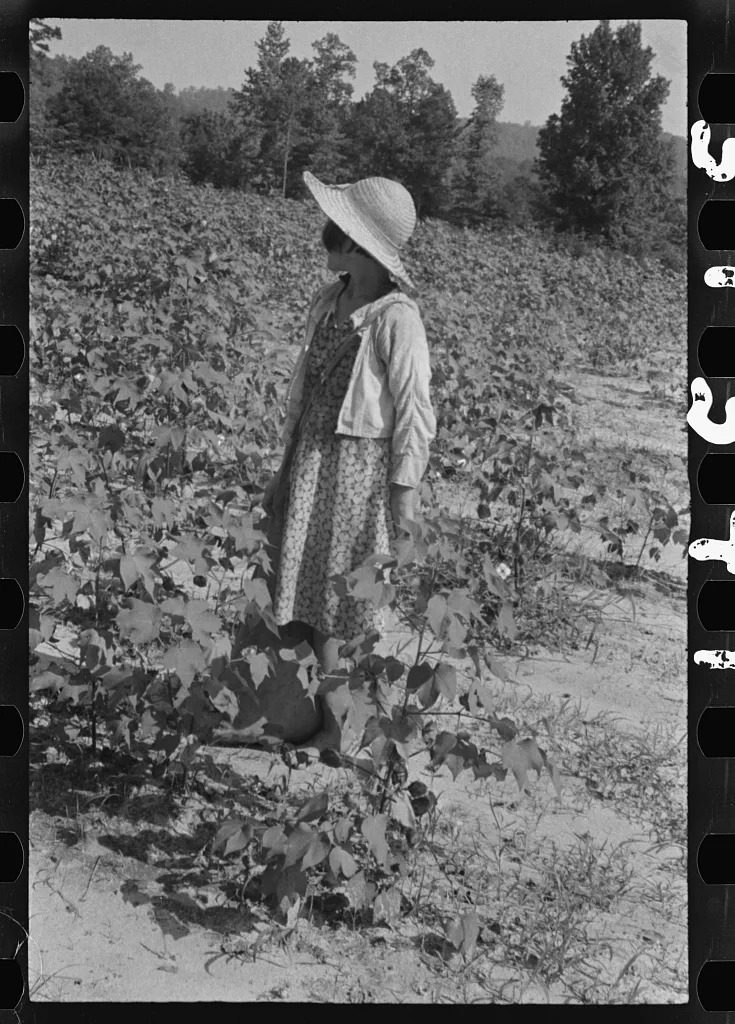 Lucille Burroughs in the cotton fields, Hale County, Alabama, 1936