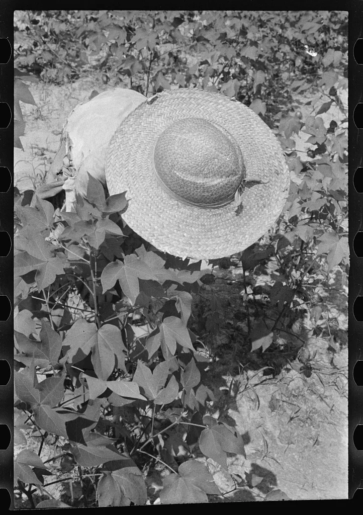Lucille Burroughs picking cotton, Hale County, Alabama, 1936