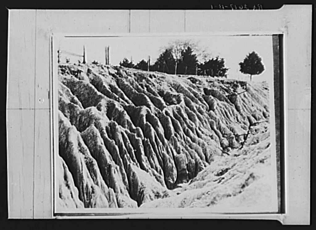 Erosion. Mississippi, 1936