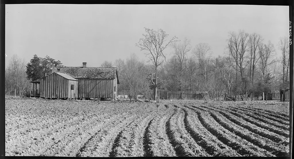 Erosion near Jackson, Mississippi, 1936