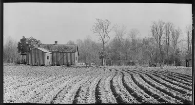 Erosion near Jackson, Mississippi, 1936