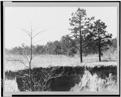 Erosion near Oxford, Mississippi, 1936