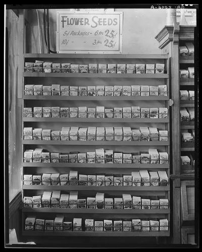 Vicksburg, Mississippi. Seed store interior, 1936