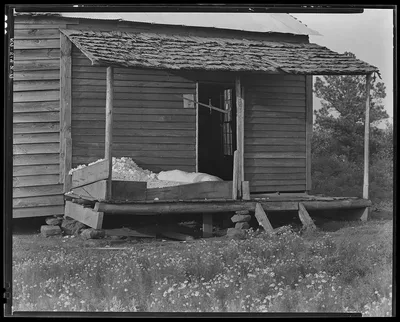 Cotton on the porch of Bud Fields' home. Hale County, Alabama, 1936