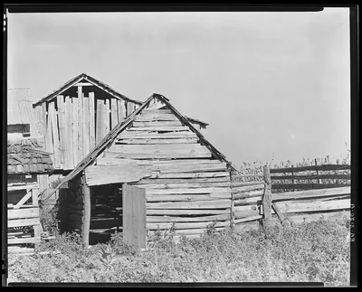 Barns on Frank Tengle's farm. Hale County, Alabama, 1936