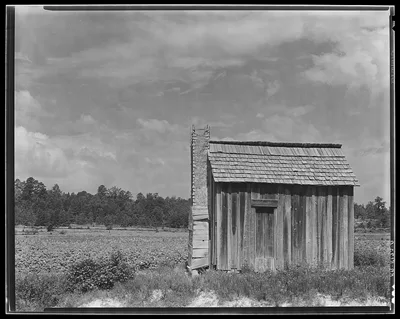 Cotton cabin. Hale County, Alabama, 1936