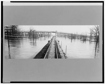 View taken from train between Memphis, Tennessee, and Forrest City,…, Arkansas, 1937