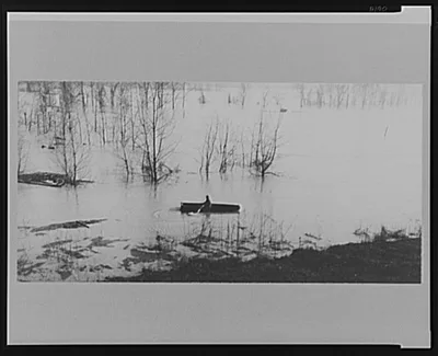View taken from train between Memphis, Tennessee, and Forrest City,…, 1937