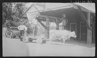 This Negro client of Dixon's Mill community, Marengo County, Alabama,…, 1936